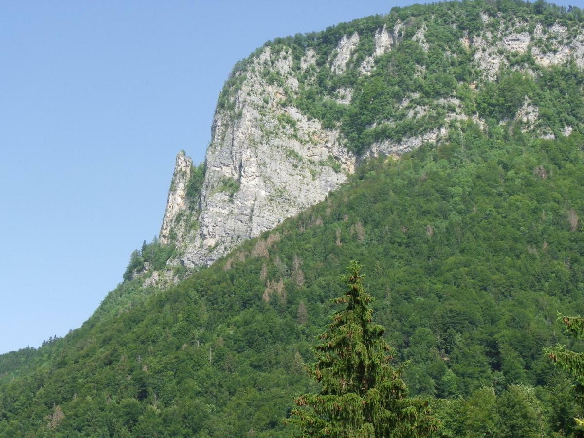 Ingreen House Bohinjska Bela Luaran gambar