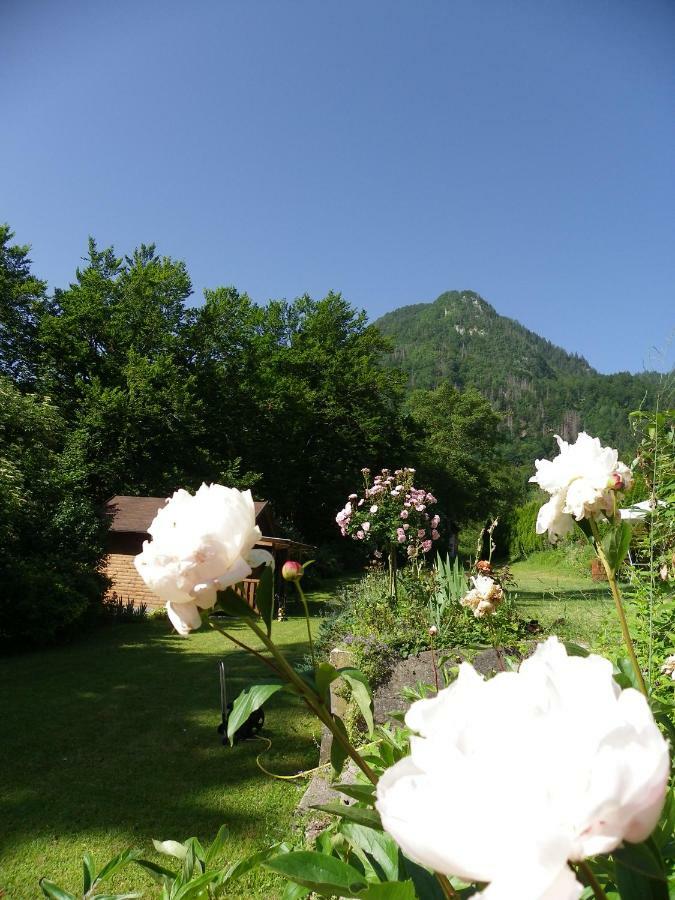 Ingreen House Bohinjska Bela Luaran gambar